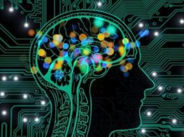 Alzheimer Disease